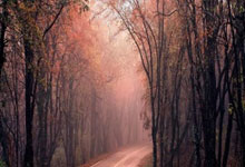 雷速体育：中超第3轮国脚出场统计：总体出勤率偏低，年轻人表现更佳.