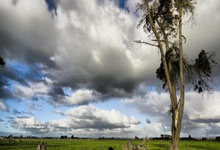 雷速体育：图片报：孔帕尼给没有国家队任务的球员放天假.